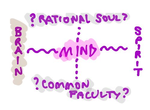 Brain-Mind-Spirit Diagram